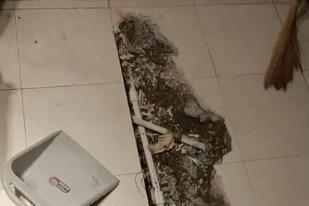 广水卫生间漏水检测电话